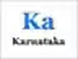 कर्नाटक टीम